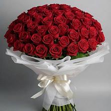 Букет 101 Красная роза Блэк Мэджик в Новый Городок