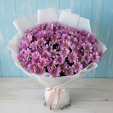 Букет цветов из:  Хризантемы #REPLACE_PRED# Новый Городок