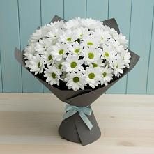 Букет цветов из:  Хризантемы #REPLACE_PRED# Новый Городок