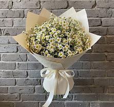 Букет цветов из:  Ромашки в Новый Городок