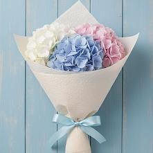 Букет цветов из:  Гортензия в Новый Городок