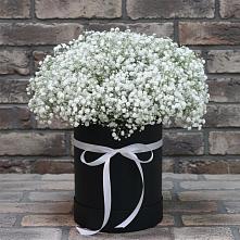 Цветочная композиция из Гипсофила в шляпной коробке #REPLACE_PRED# Новый Городок
