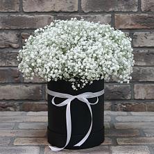 Цветочная композиция из Гипсофила в шляпной коробке в Новый Городок