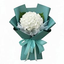 Букет цветов из:  Гортензия #REPLACE_PRED# Новый Городок